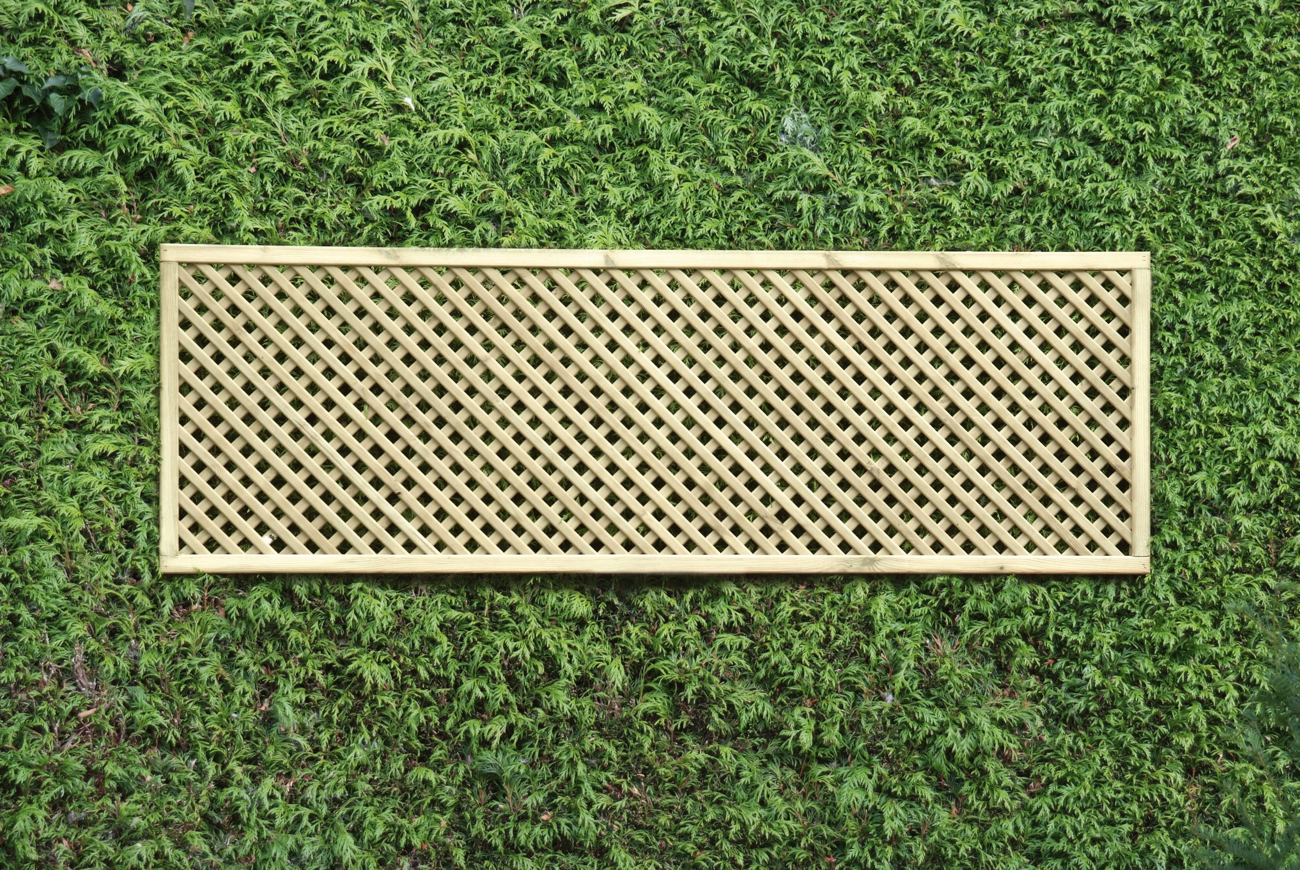 The range online trellis